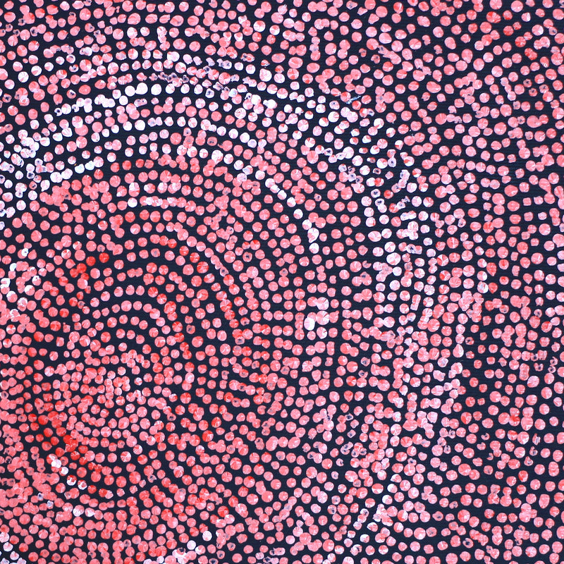 Aboriginal Artwork by Sarah Napurrurla Leo, Ngapa Jukurrpa (Water Dreaming), 30x30cm