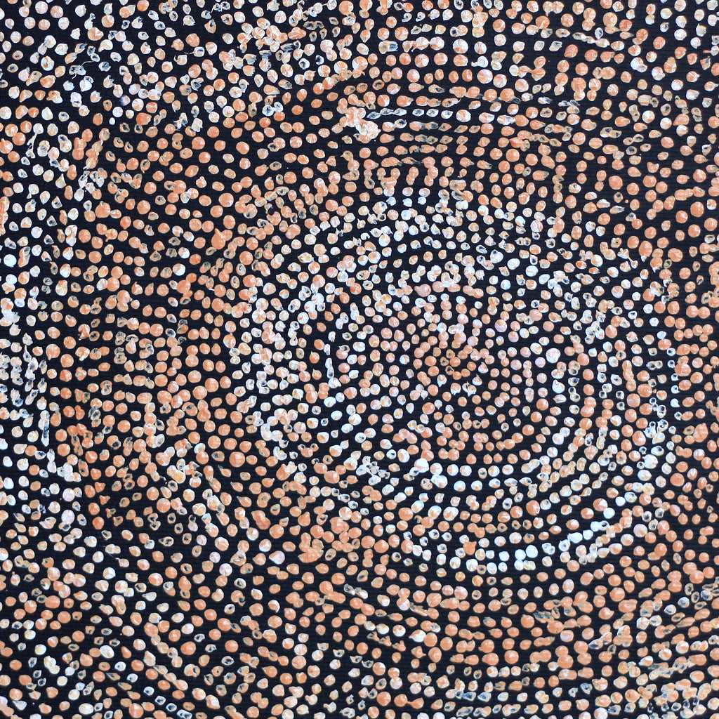 Aboriginal Artwork by Sarah Napurrurla Leo, Ngapa Jukurrpa (Water Dreaming), 30x30cm