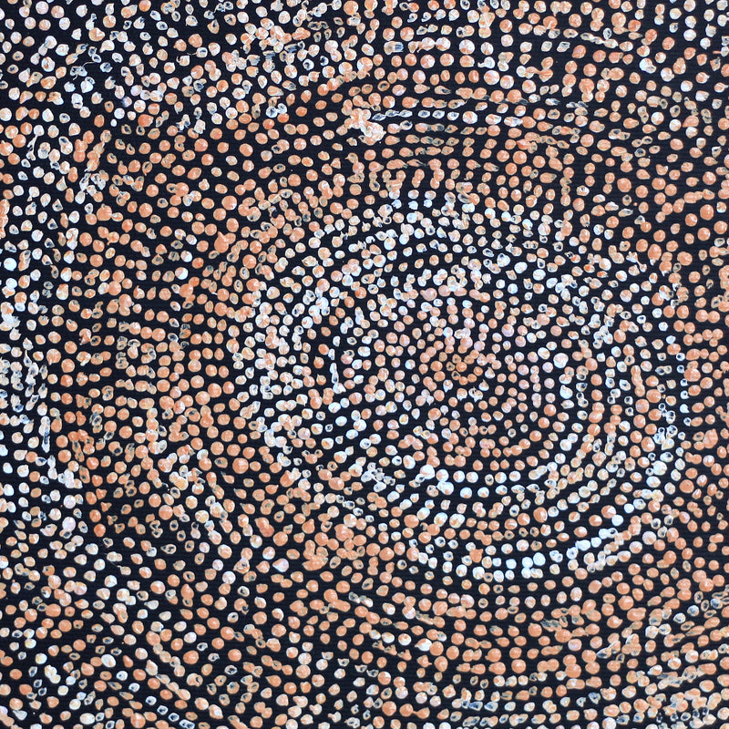 Aboriginal Artwork by Sarah Napurrurla Leo, Ngapa Jukurrpa (Water Dreaming), 30x30cm