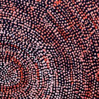 Aboriginal Artwork by Sarah Napurrurla Leo, Ngapa Jukurrpa (Water Dreaming), 30x30cm