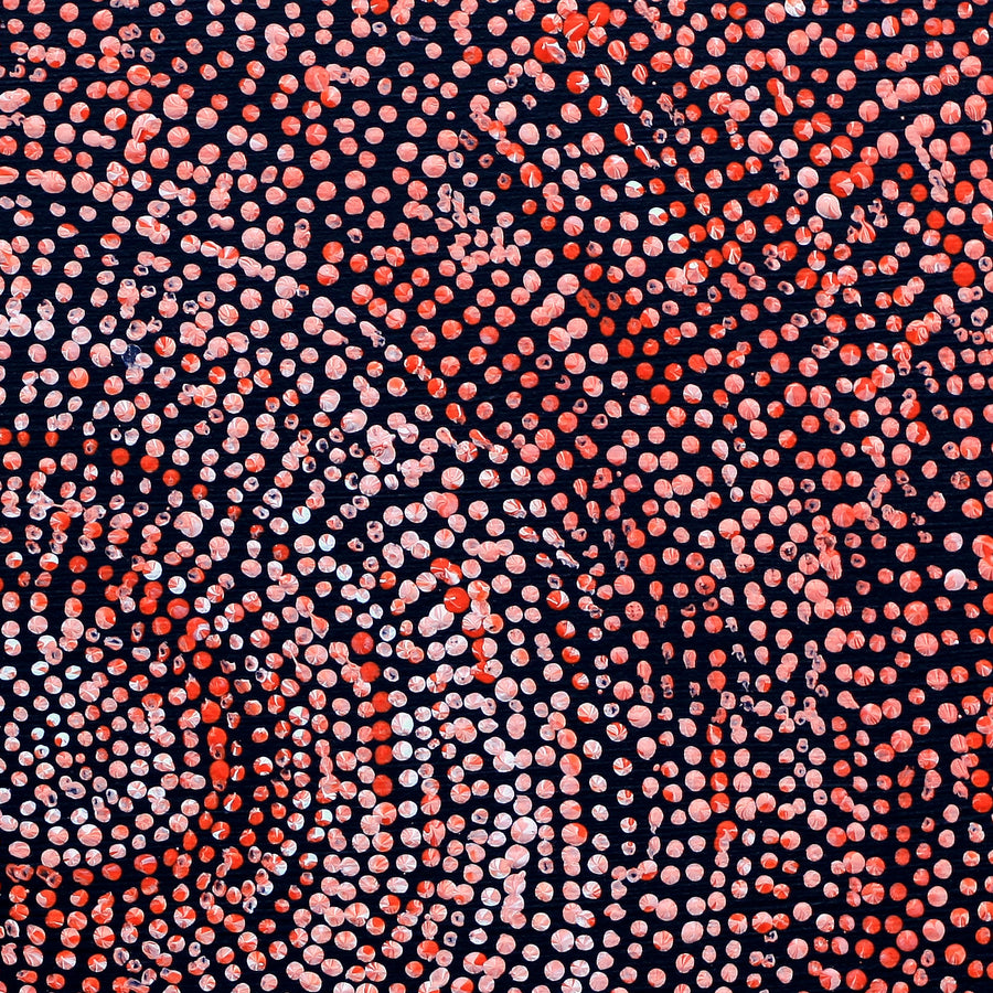 Aboriginal Artwork by Sarah Napurrurla Leo, Ngapa Jukurrpa (Water Dreaming), 30x30cm