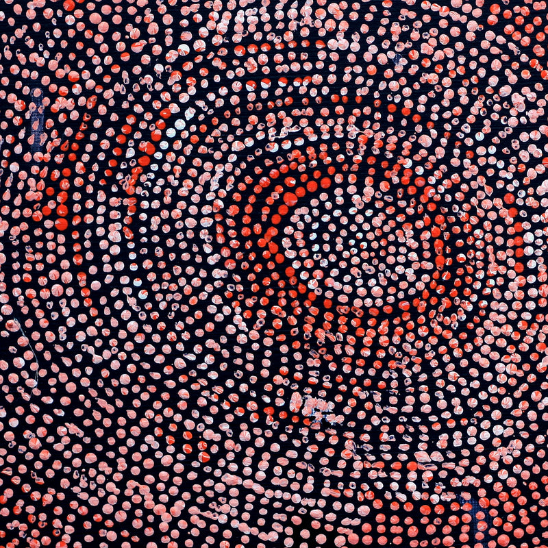 Aboriginal Artwork by Sarah Napurrurla Leo, Ngapa Jukurrpa (Water Dreaming), 30x30cm