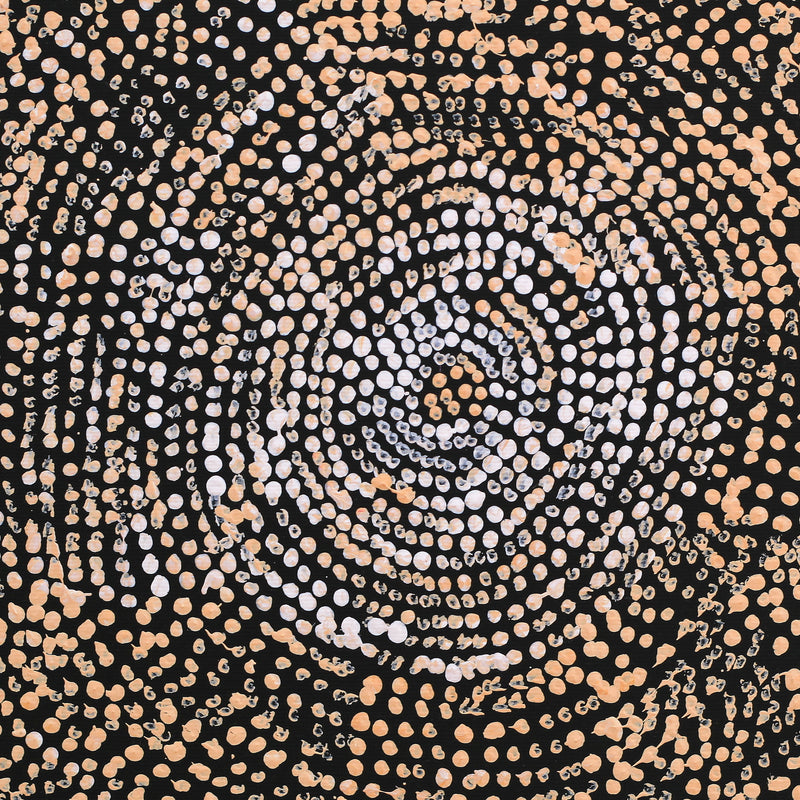 Aboriginal Artwork by Sarah Napurrurla Leo, Ngapa Jukurrpa (Water Dreaming), 30x30cm