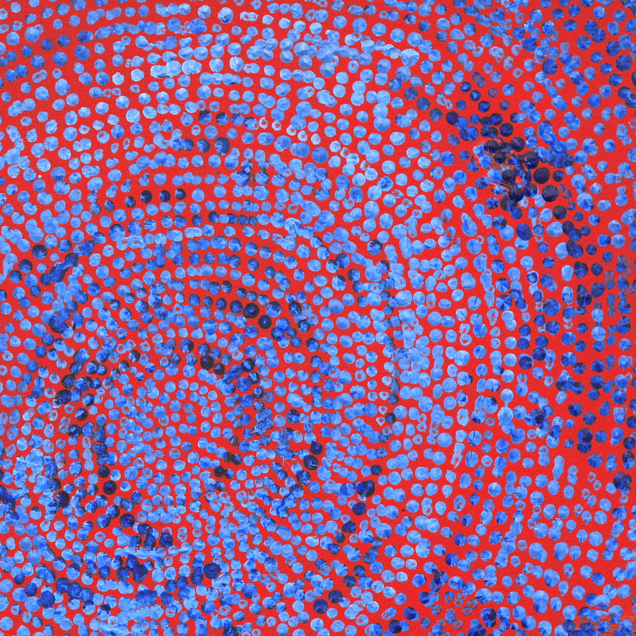 Aboriginal Artwork by Sarah Napurrurla Leo, Ngapa Jukurrpa (Water Dreaming), 30x30cm