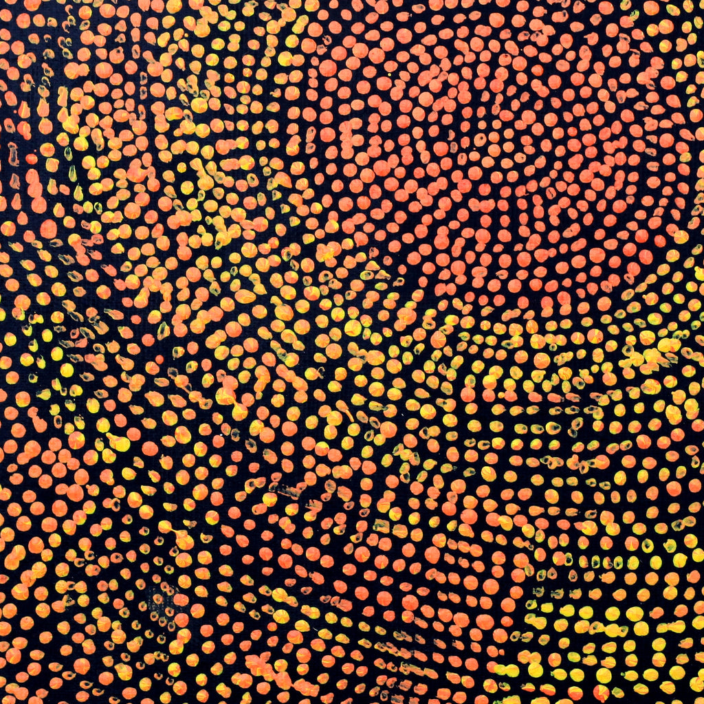 Aboriginal Artwork by Sarah Napurrurla Leo, Ngapa Jukurrpa (Water Dreaming), 30x30cm