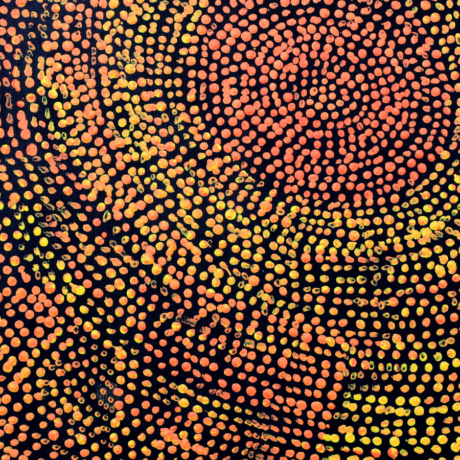 Aboriginal Artwork by Sarah Napurrurla Leo, Ngapa Jukurrpa (Water Dreaming), 30x30cm