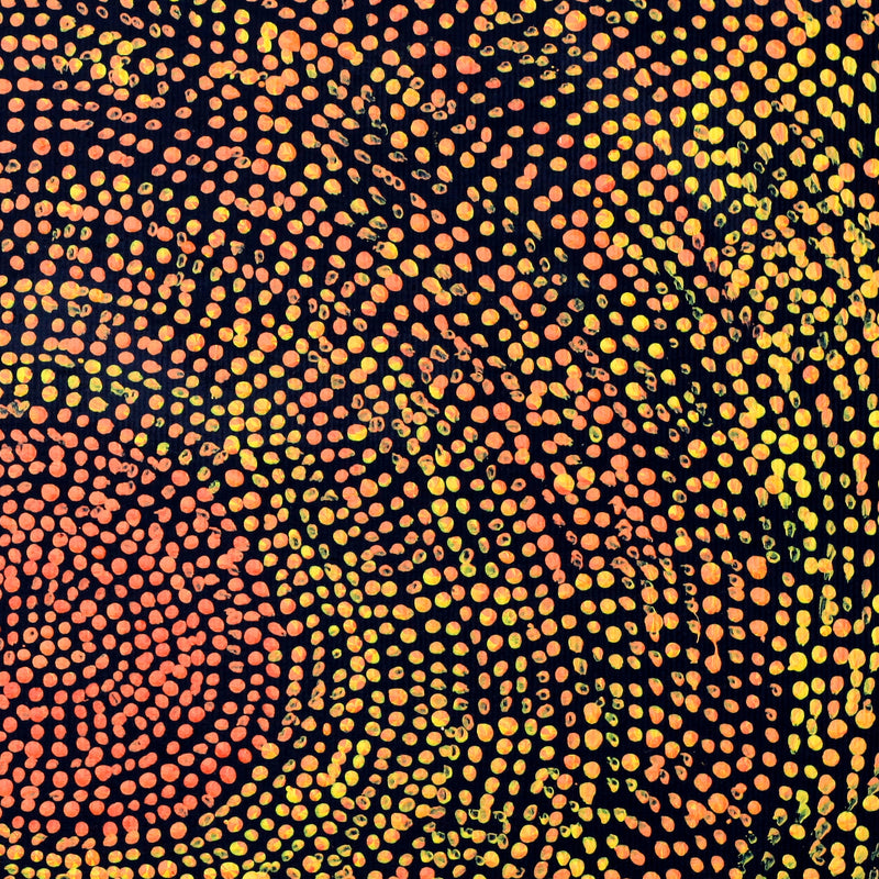 Aboriginal Artwork by Sarah Napurrurla Leo, Ngapa Jukurrpa (Water Dreaming), 30x30cm