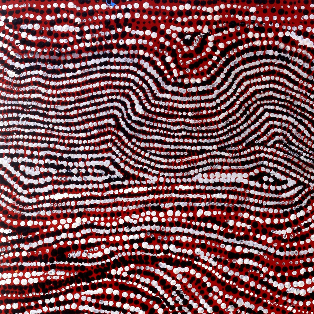 Aboriginal Artwork by Sarah Napurrurla Leo, Ngapa Jukurrpa (Water Dreaming), 107x30cm