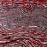 Aboriginal Artwork by Sarah Napurrurla Leo, Ngapa Jukurrpa (Water Dreaming), 107x30cm