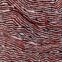 Aboriginal Artwork by Sarah Napurrurla Leo, Ngapa Jukurrpa (Water Dreaming), 107x30cm