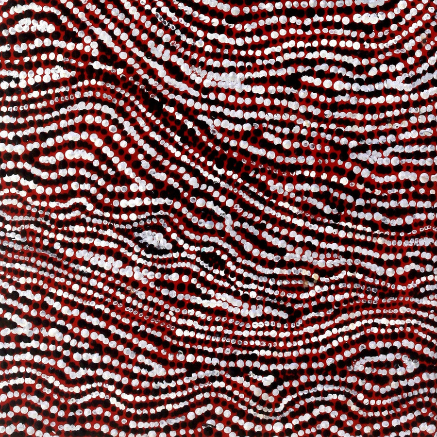 Aboriginal Artwork by Sarah Napurrurla Leo, Ngapa Jukurrpa (Water Dreaming), 107x30cm