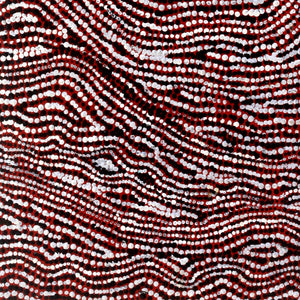 Aboriginal Artwork by Sarah Napurrurla Leo, Ngapa Jukurrpa (Water Dreaming), 107x30cm - ART ARK®