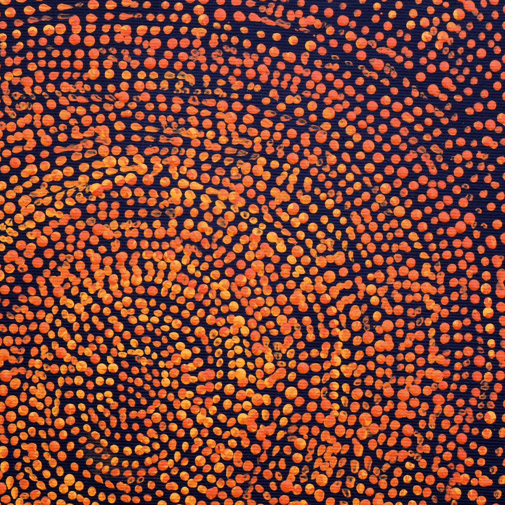 Aboriginal Artwork by Sarah Napurrurla Leo, Ngapa Jukurrpa (Water Dreaming), 30x30cm