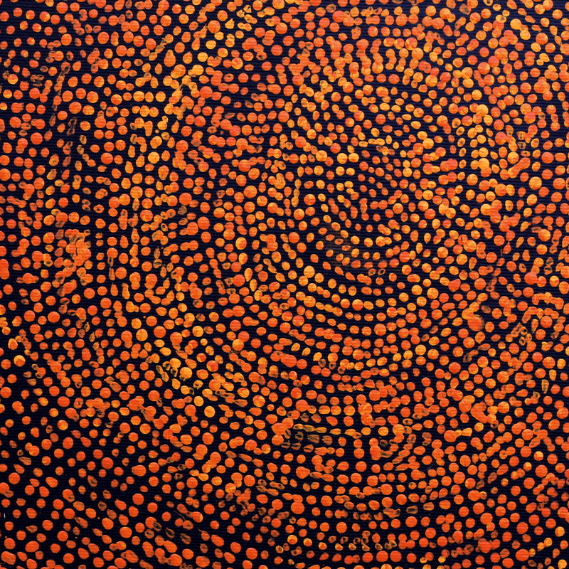 Aboriginal Artwork by Sarah Napurrurla Leo, Ngapa Jukurrpa (Water Dreaming), 30x30cm