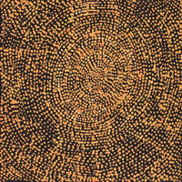 Aboriginal Artwork by Sarah Napurrurla Leo, Ngapa Jukurrpa (Water Dreaming), 30x30cm