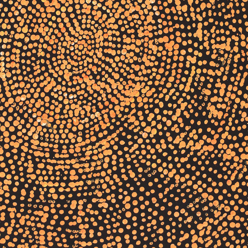 Aboriginal Artwork by Sarah Napurrurla Leo, Ngapa Jukurrpa (Water Dreaming), 30x30cm