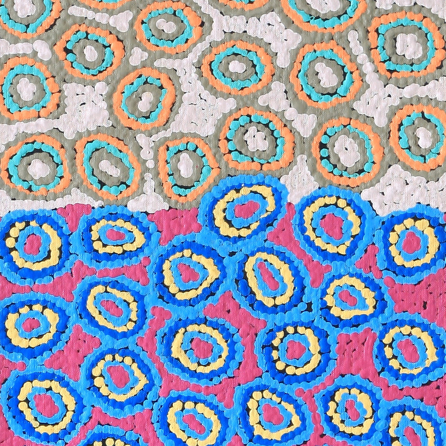 Aboriginal Artwork by Sarah Napaljarri Simms, Pikilyi Jukurrpa (Vaughan Springs Dreaming), 122x30cm