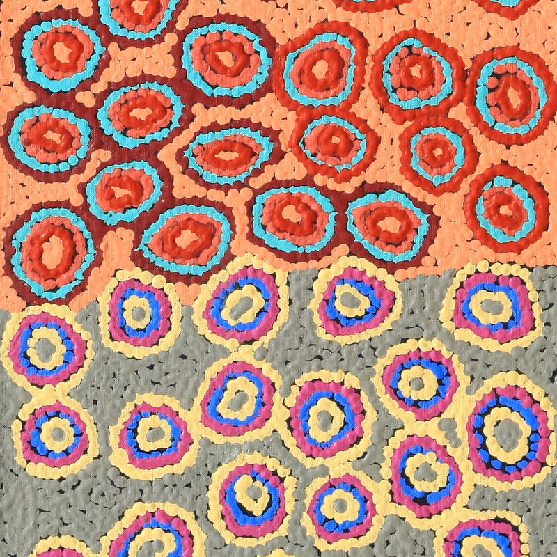 Aboriginal Artwork by Sarah Napaljarri Simms, Pikilyi Jukurrpa (Vaughan Springs Dreaming), 122x30cm