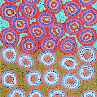 Aboriginal Artwork by Sarah Napaljarri Simms, Pikilyi Jukurrpa (Vaughan Springs Dreaming), 122x30cm
