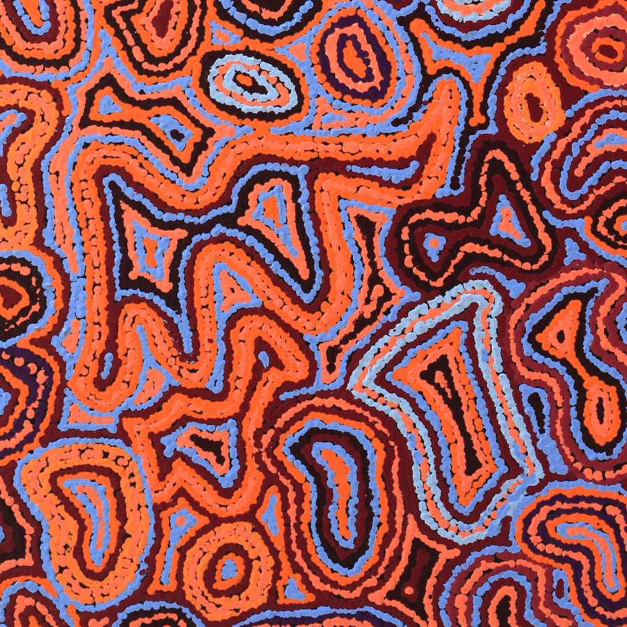 Aboriginal Artwork by Sarah Napaljarri Simms, Pikilyi Jukurrpa (Vaughan Springs Dreaming), 122x46cm