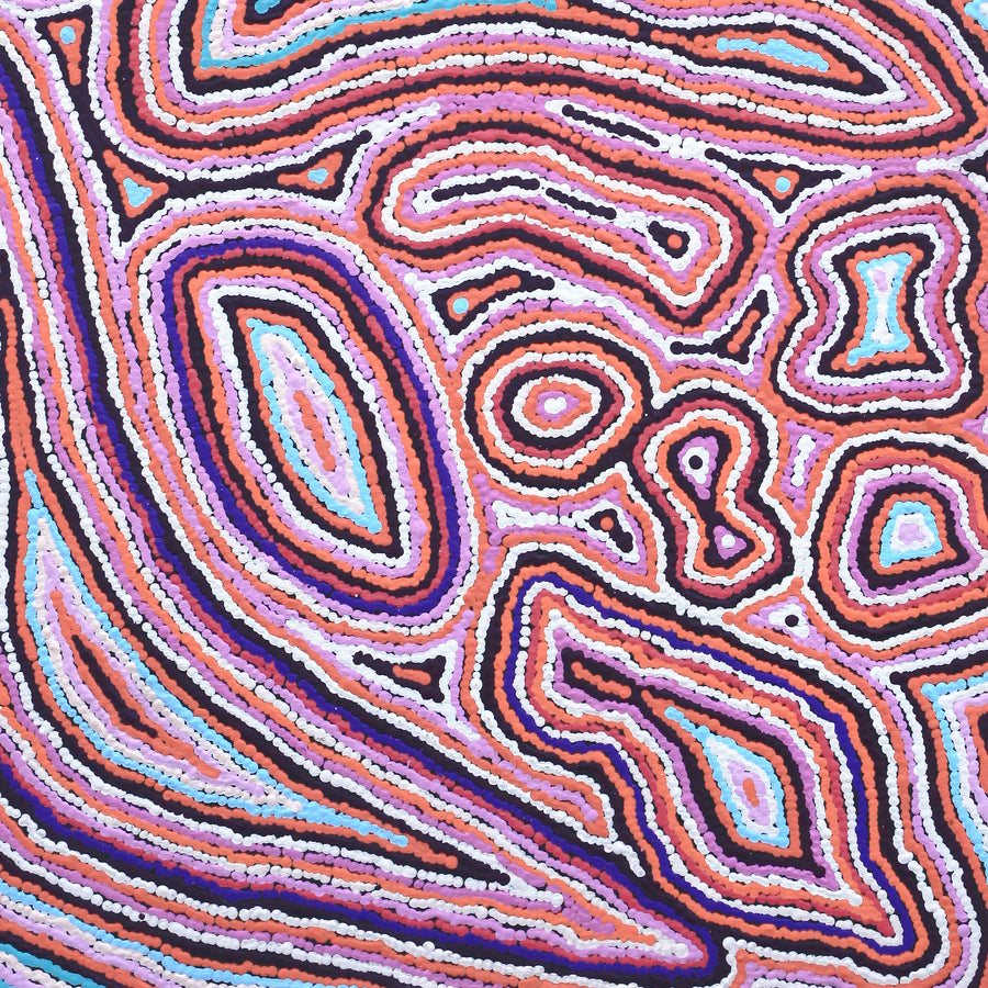 Aboriginal Artwork by Sarah Napaljarri Simms, Pikilyi Jukurrpa (Vaughan Springs Dreaming), 122x61cm