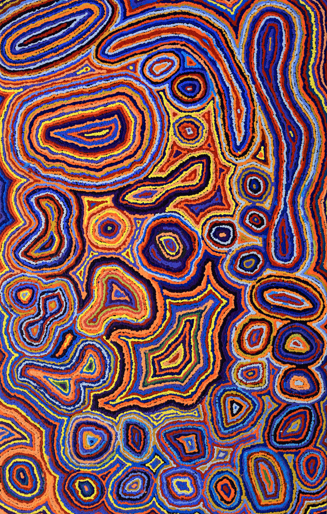 Aboriginal Artwork by Sarah Napaljarri Simms, Pikilyi Jukurrpa (Vaughan Springs Dreaming), 122x76cm