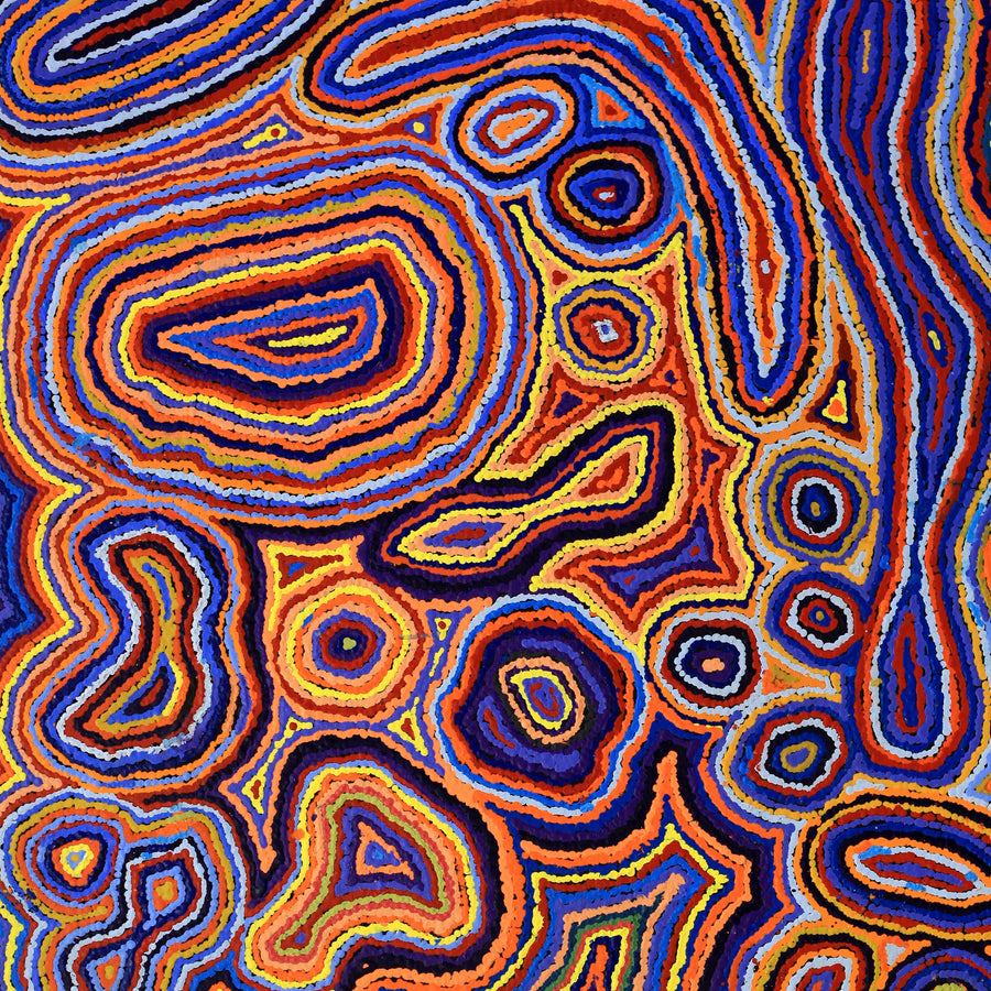 Aboriginal Artwork by Sarah Napaljarri Simms, Pikilyi Jukurrpa (Vaughan Springs Dreaming), 122x76cm