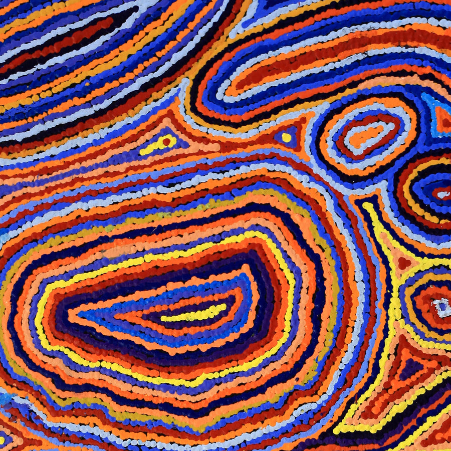 Aboriginal Artwork by Sarah Napaljarri Simms, Pikilyi Jukurrpa (Vaughan Springs Dreaming), 122x76cm