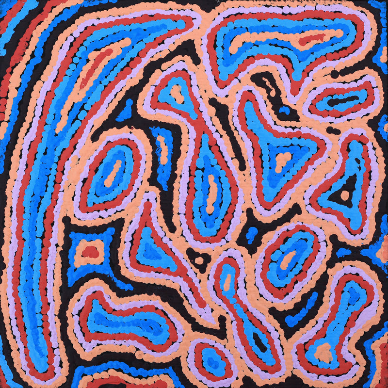 Aboriginal Artwork by Sarah Napaljarri Simms, Pikilyi Jukurrpa (Vaughan Springs Dreaming), 30x30cm