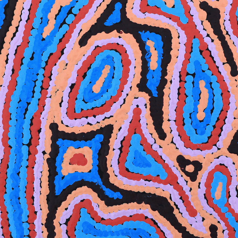 Aboriginal Artwork by Sarah Napaljarri Simms, Pikilyi Jukurrpa (Vaughan Springs Dreaming), 30x30cm