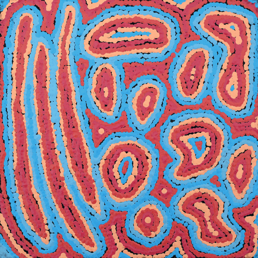 Aboriginal Artwork by Sarah Napaljarri Simms, Pikilyi Jukurrpa (Vaughan Springs Dreaming), 30x30cm