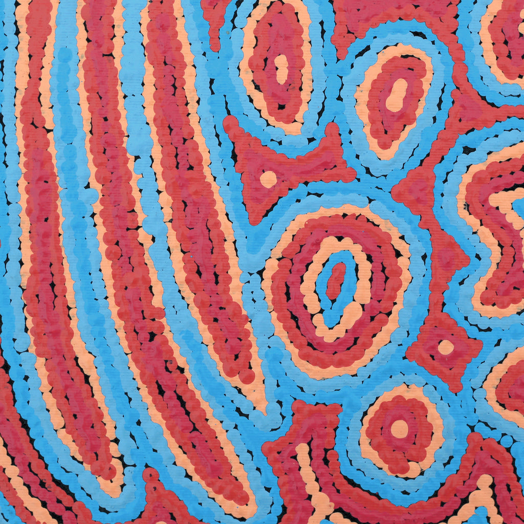Aboriginal Art by Sarah Napaljarri Simms, Pikilyi Jukurrpa (Vaughan Springs Dreaming), 30x30cm - ART ARK®