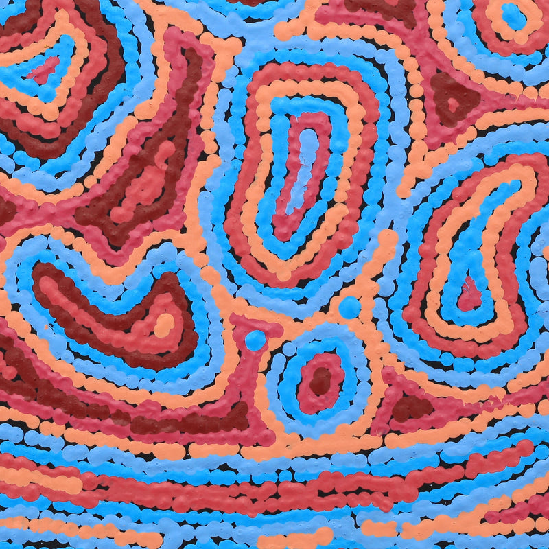 Aboriginal Artwork by Sarah Napaljarri Simms, Pikilyi Jukurrpa (Vaughan Springs Dreaming), 30x30cm