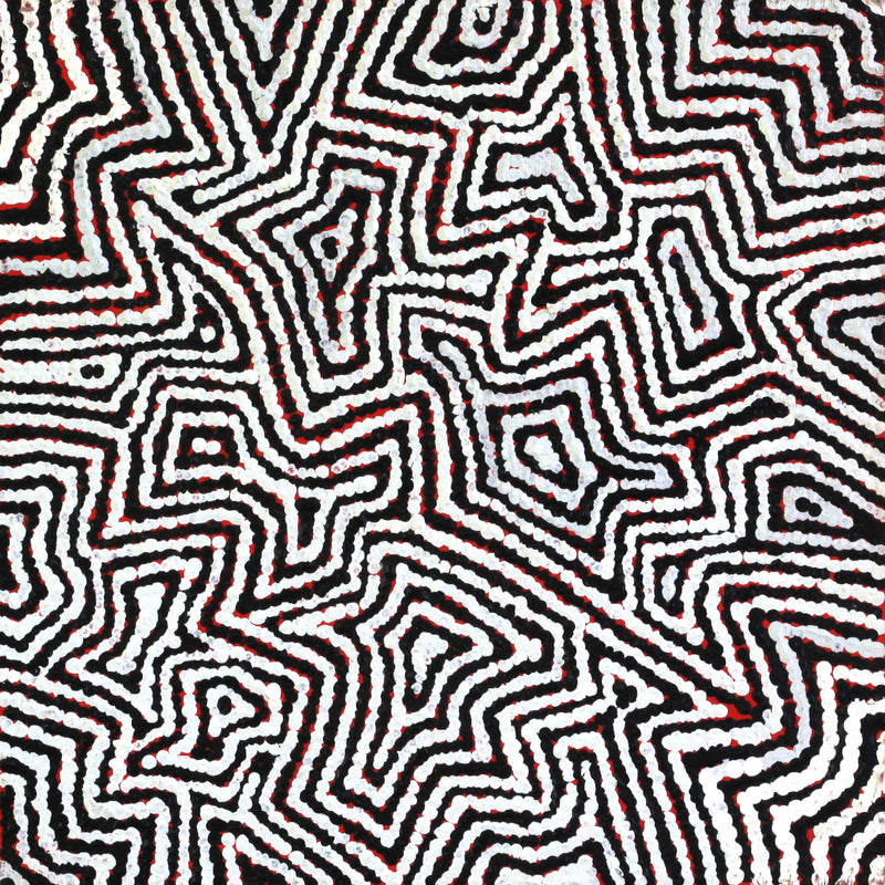 Aboriginal Artwork by Sarah Napaljarri Simms, Pikilyi Jukurrpa (Vaughan Springs Dreaming), 30x30cm