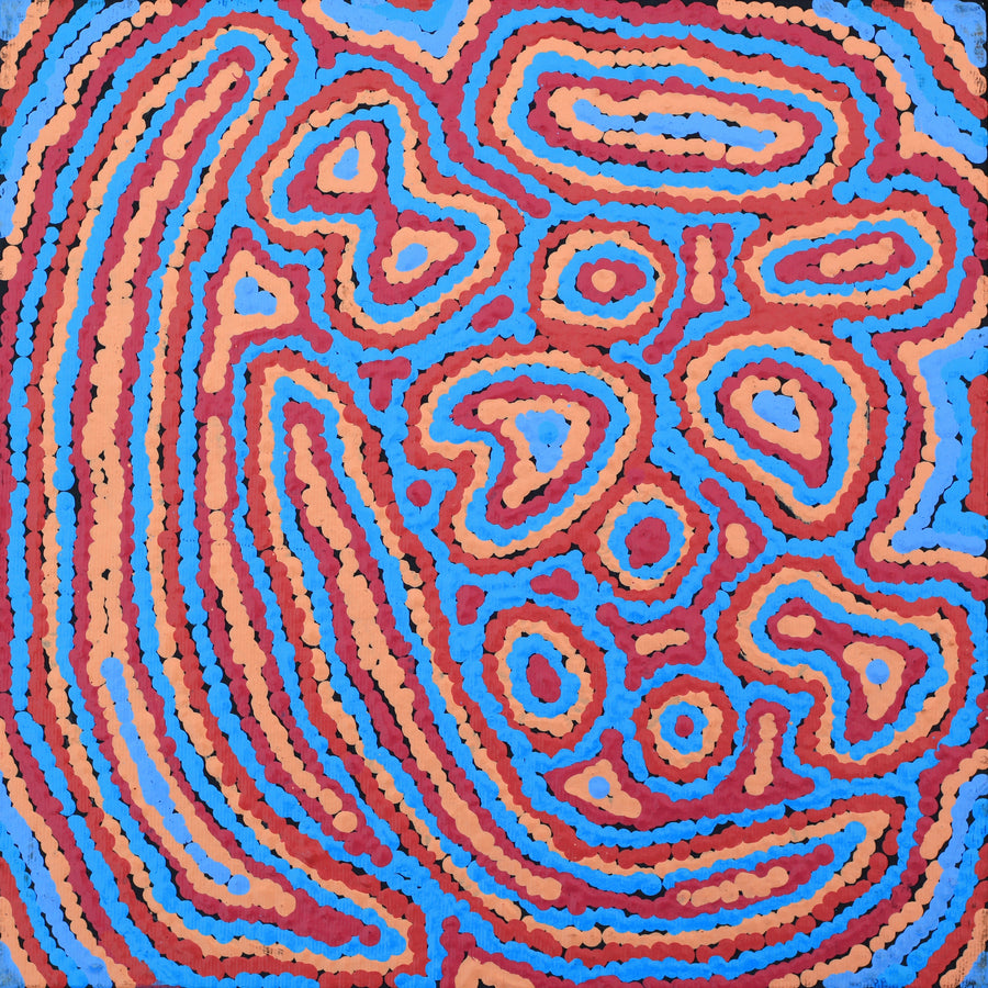 Aboriginal Artwork by Sarah Napaljarri Simms, Pikilyi Jukurrpa (Vaughan Springs Dreaming), 30x30cm