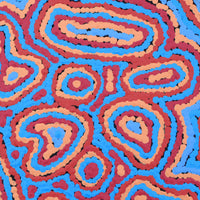 Aboriginal Artwork by Sarah Napaljarri Simms, Pikilyi Jukurrpa (Vaughan Springs Dreaming), 30x30cm