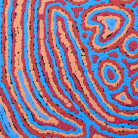 Aboriginal Artwork by Sarah Napaljarri Simms, Pikilyi Jukurrpa (Vaughan Springs Dreaming), 30x30cm