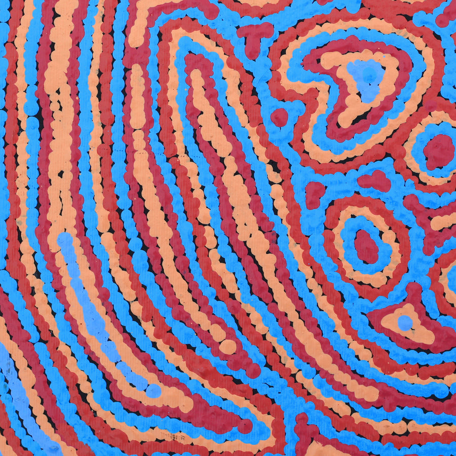 Aboriginal Artwork by Sarah Napaljarri Simms, Pikilyi Jukurrpa (Vaughan Springs Dreaming), 30x30cm