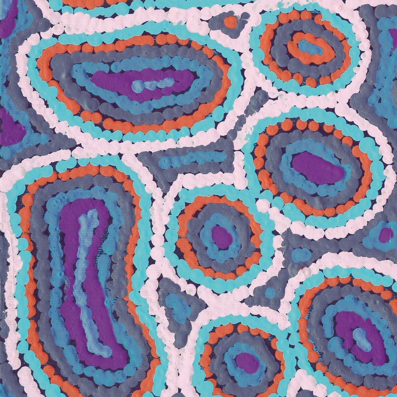 Aboriginal Artwork by Sarah Napaljarri Simms, Pikilyi Jukurrpa (Vaughan Springs Dreaming), 30x30cm