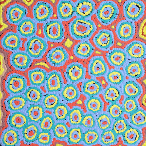Aboriginal Artwork by Sarah Napaljarri Simms, Pikilyi Jukurrpa (Vaughan Springs Dreaming), 30x30cm - ART ARK®