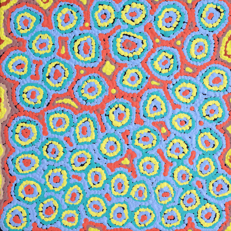 Aboriginal Artwork by Sarah Napaljarri Simms, Pikilyi Jukurrpa (Vaughan Springs Dreaming), 30x30cm