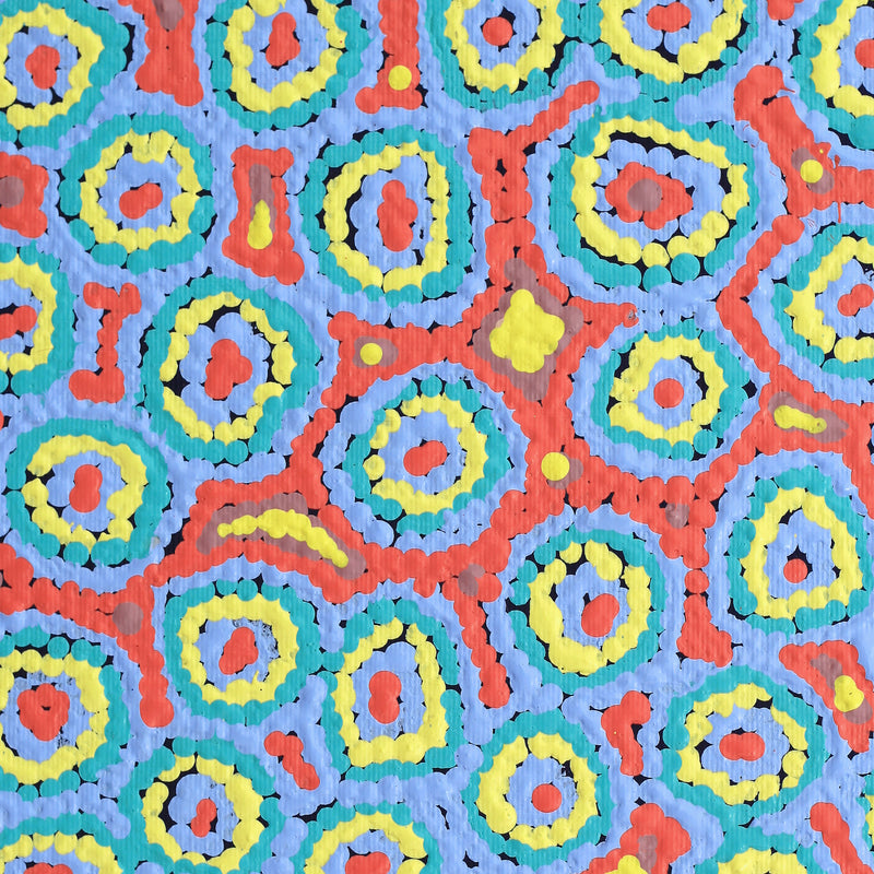 Aboriginal Artwork by Sarah Napaljarri Simms, Pikilyi Jukurrpa (Vaughan Springs Dreaming), 30x30cm