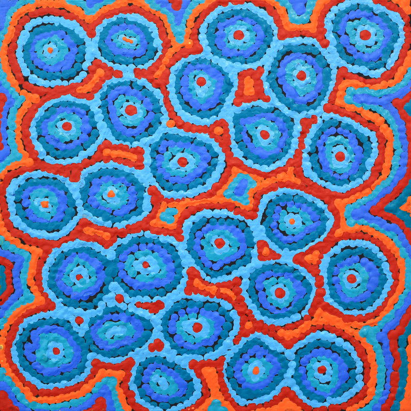 Aboriginal Artwork by Sarah Napaljarri Simms, Pikilyi Jukurrpa (Vaughan Springs Dreaming), 30x30cm