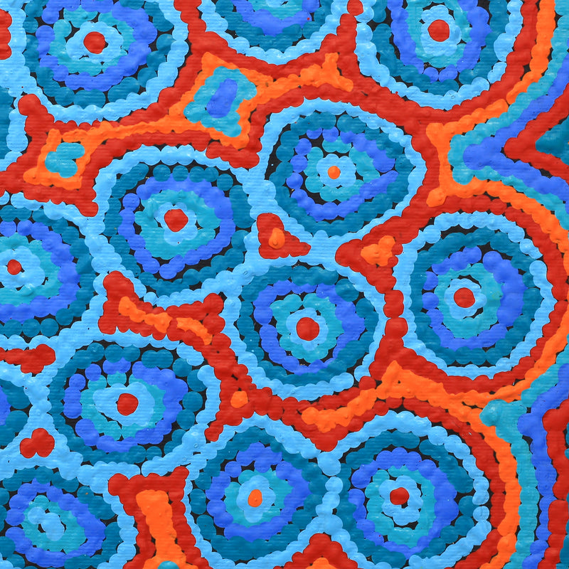 Aboriginal Artwork by Sarah Napaljarri Simms, Pikilyi Jukurrpa (Vaughan Springs Dreaming), 30x30cm