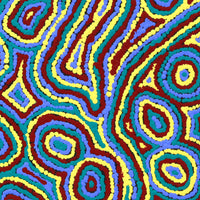Aboriginal Artwork by Sarah Napaljarri Simms, Pikilyi Jukurrpa (Vaughan Springs Dreaming), 30x30cm