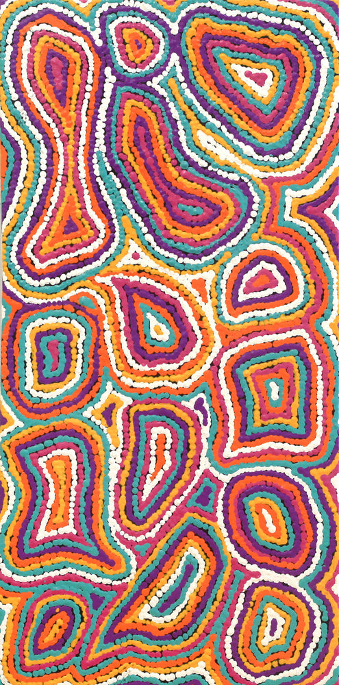 Aboriginal Artwork by Sarah Napaljarri Simms, Pikilyi Jukurrpa (Vaughan Springs Dreaming), 61x30cm