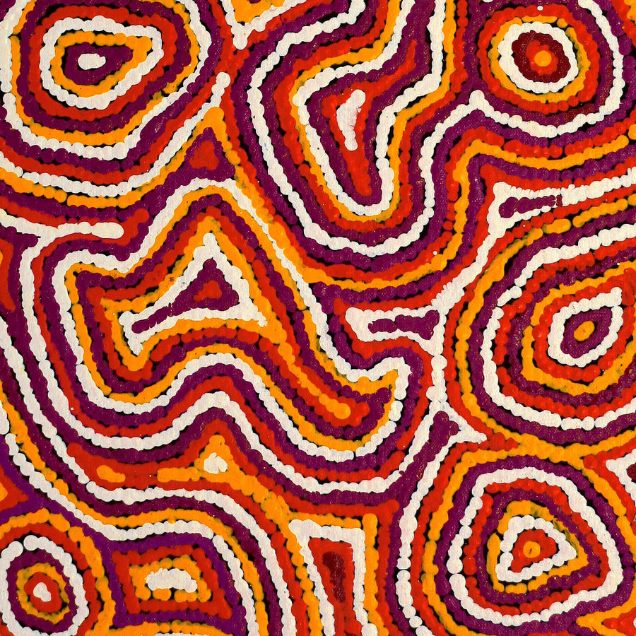 Aboriginal Artwork by Sarah Napaljarri Simms, Pikilyi Jukurrpa (Vaughan Springs Dreaming), 61x30cm