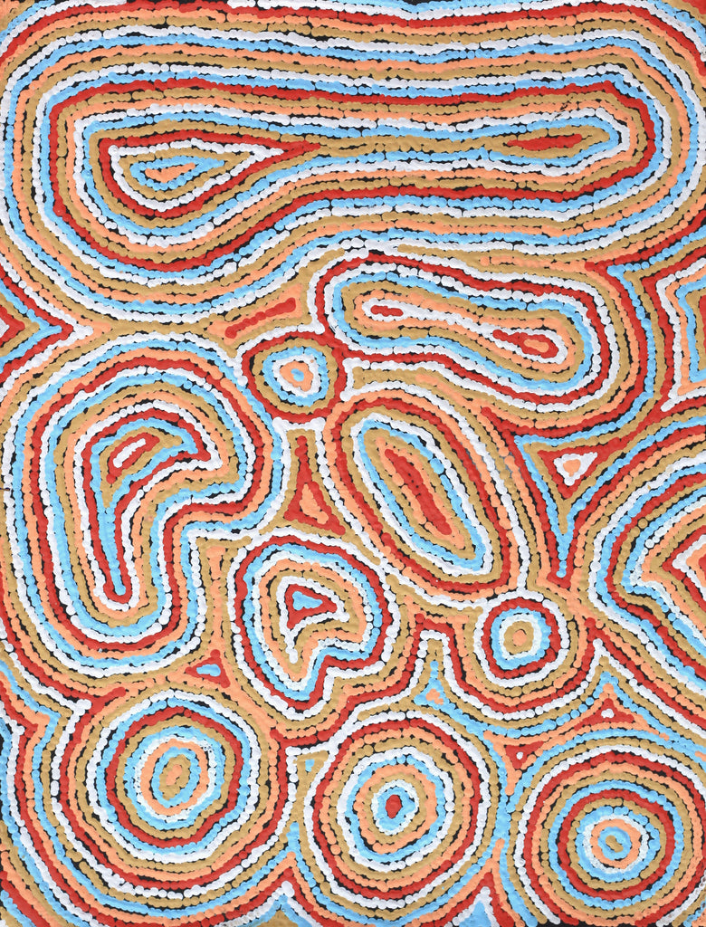 Aboriginal Artwork by Sarah Napaljarri Simms, Pikilyi Jukurrpa (Vaughan Springs Dreaming), 61x46cm
