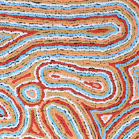 Aboriginal Artwork by Sarah Napaljarri Simms, Pikilyi Jukurrpa (Vaughan Springs Dreaming), 61x46cm