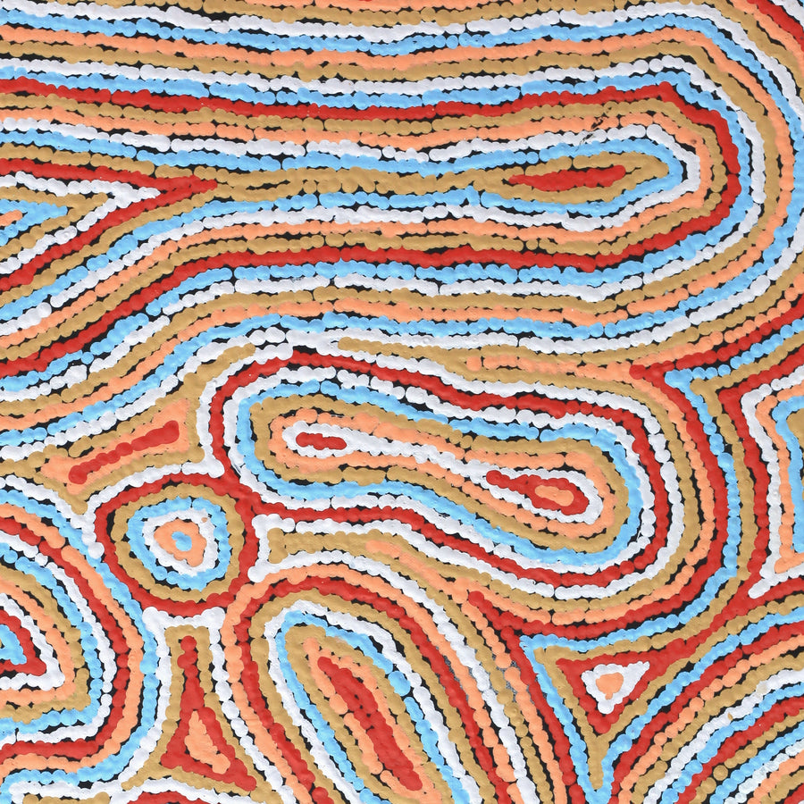 Aboriginal Artwork by Sarah Napaljarri Simms, Pikilyi Jukurrpa (Vaughan Springs Dreaming), 61x46cm
